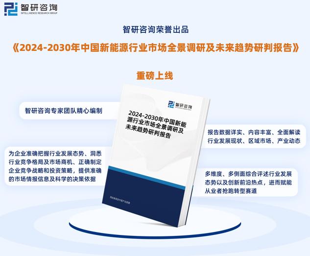 先锋版解析，揭秘新奥精准正版资料与实战案例详解