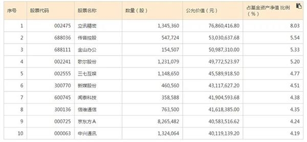 揭秘，2024国家大基金持仓股全景概览