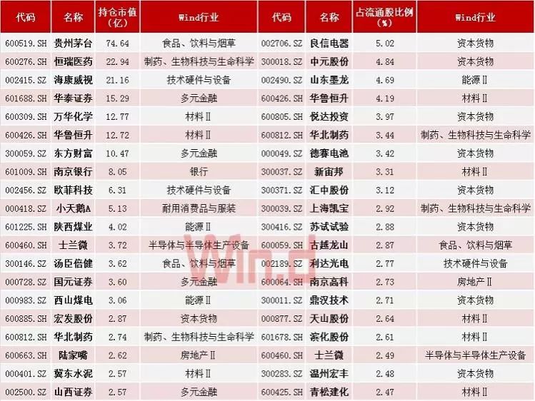 国家队最新持仓动向深度解析及未来展望（2024年展望版）