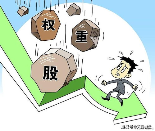 权重股深度解析，哪些板块成为市场焦点？