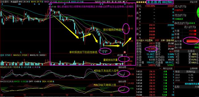 探寻白马股票中的龙头股，行业领军者的崛起之路