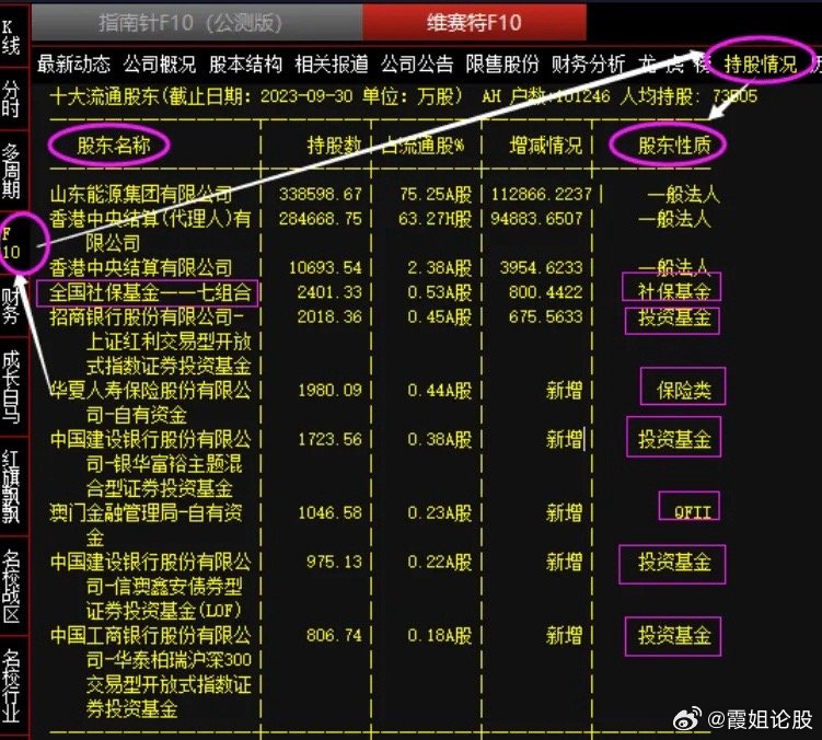 探索潜力股的世界，寻找最具潜力的股票之路