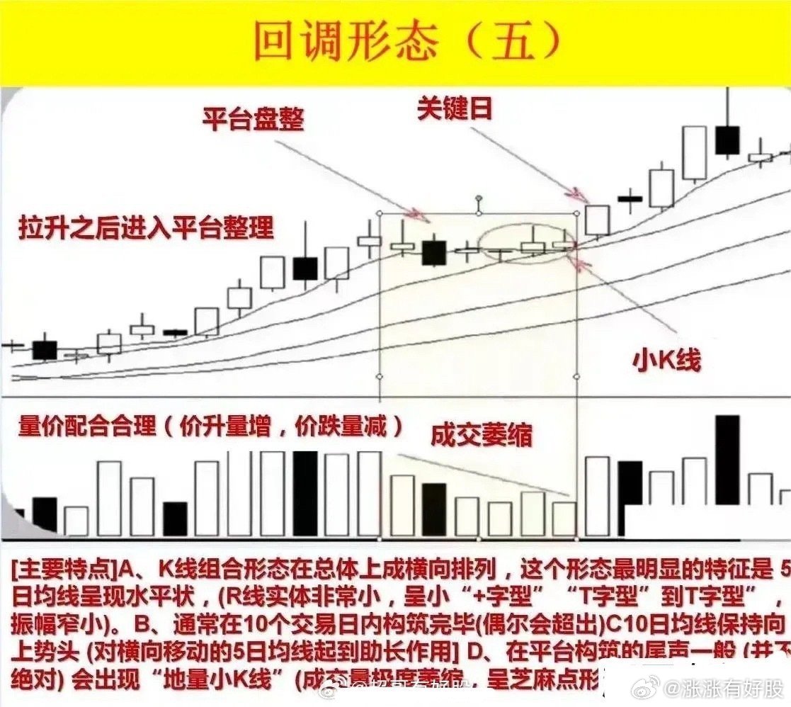 ‌寻风 第3页