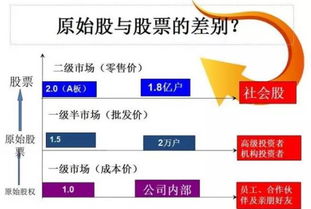 上市公司股票盈利策略与路径探讨，实现盈利最大化之道