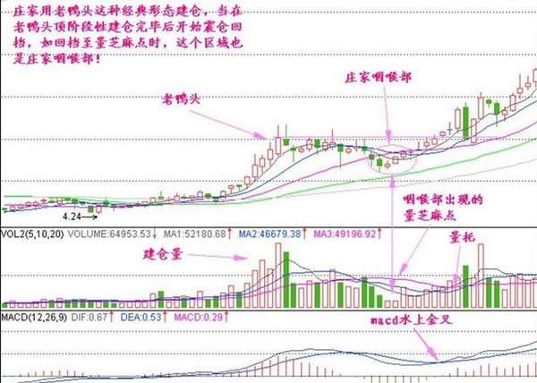 散户股市盈利之路，如何获取分红？