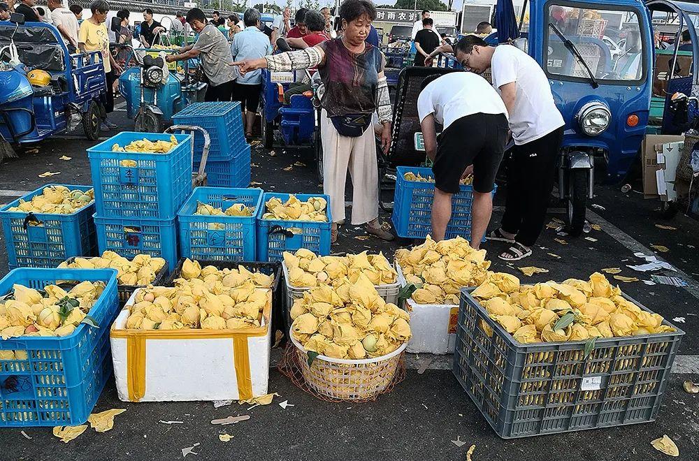 上市后三年锁定期，企业决策背后的考量与挑战