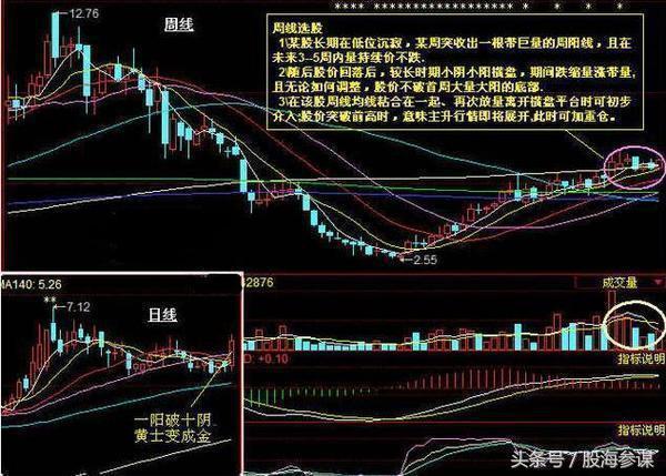 2024年11月8日 第9页