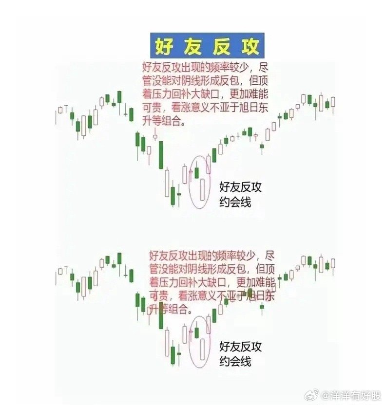 2024年11月9日 第57页