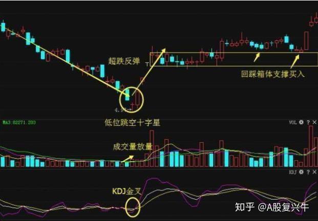 长期投资一只股票的策略与实践方法