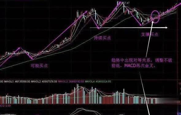 2024年11月9日 第7页