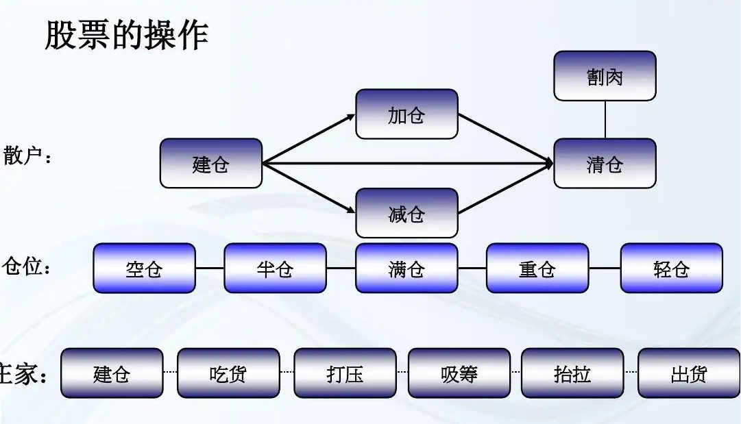 2024年11月9日 第2页