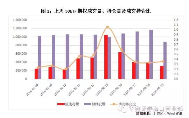 股票投资策略报告撰写指南，构建成功投资方案的步骤与要点