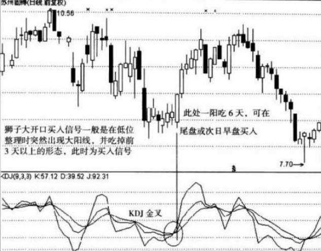 股票快速买入策略及操作指南，技巧与实战指南