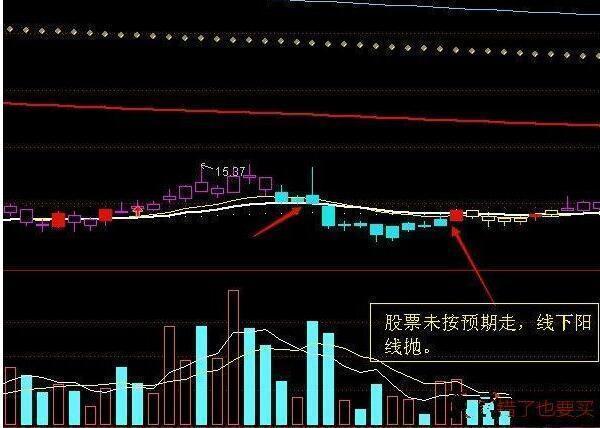 深度解析股票持有策略，亏损后是否应继续持有？建议与风险分析。