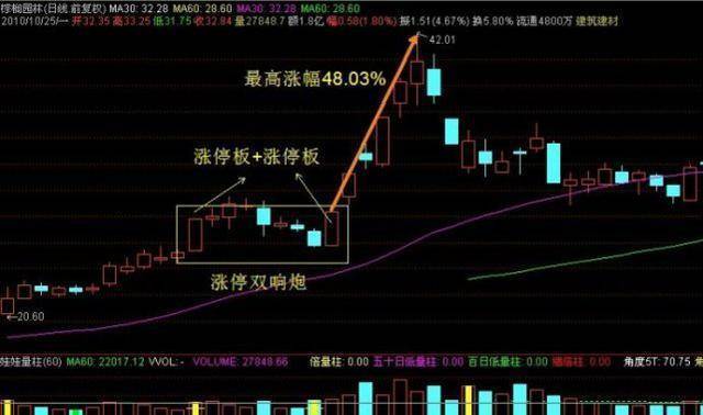 巴菲特抄底中国五股，投资智慧展现全球视野