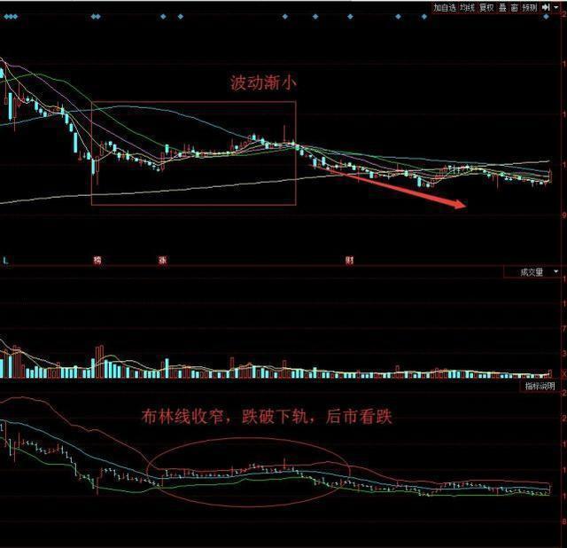 股神陨落，上海高楼一跳背后的真相与启示