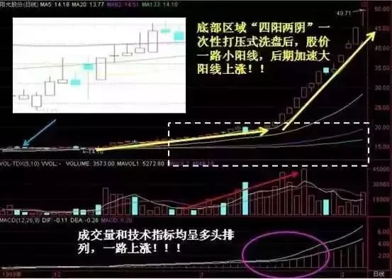 揭秘1999年股市牛股，投资传奇大揭秘