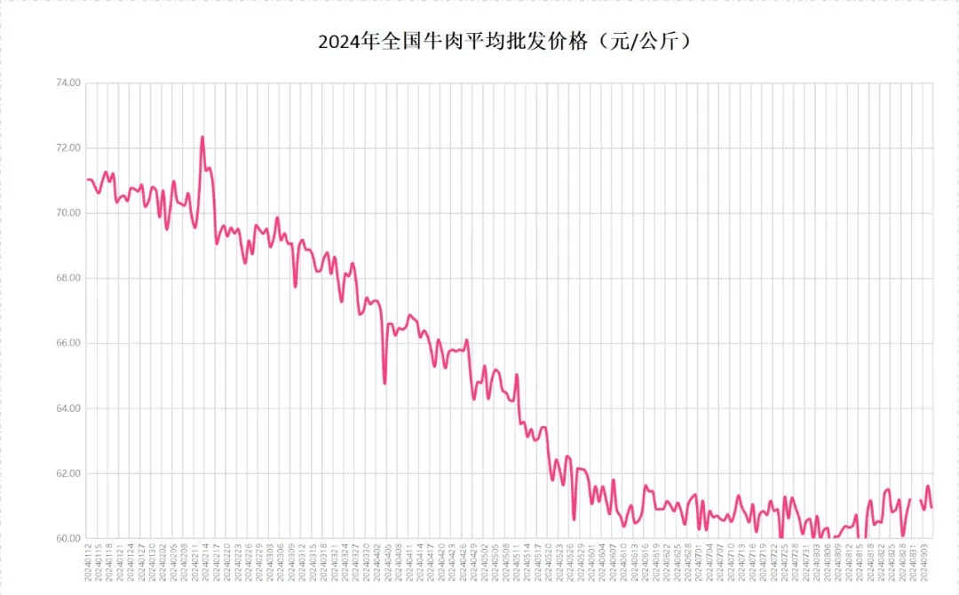 揭秘未来牛价飙升，2024年牛价预测翻十倍背后的原因探究