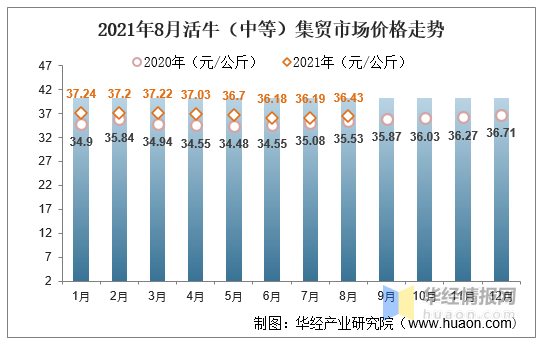 2024年活牛价走势预测及市场趋势分析