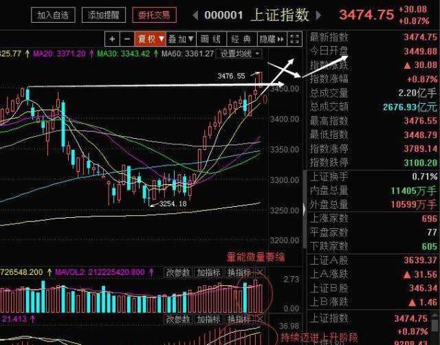 牛市最新动态，市场走势深度分析与展望