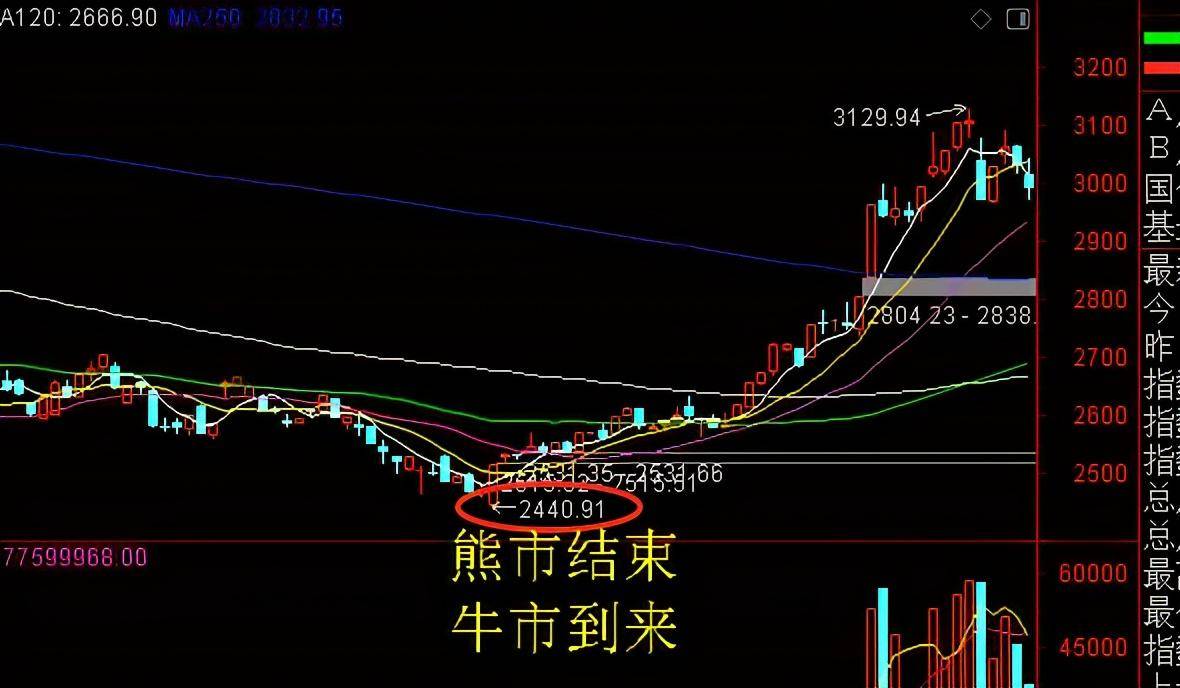 牛市趋势确立，市场解读与应对策略指南