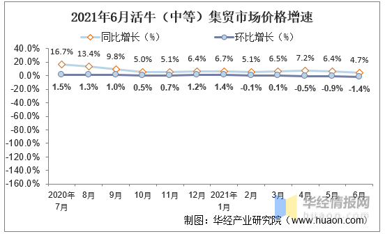 牛的市场行情走势深度解析