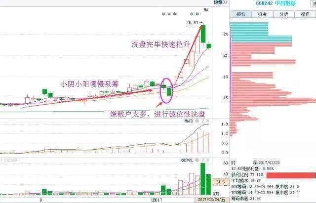 牛行情价格走势深度解析