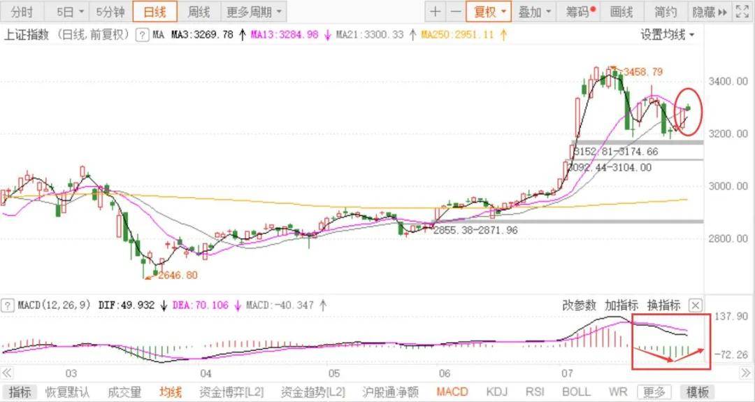 牛市走向深度解析与未来预测